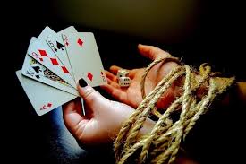 Вход на официальный сайт Pelican Casino